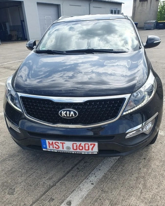 Kia Sportage cena 55950 przebieg: 58920, rok produkcji 2014 z Kędzierzyn-Koźle małe 562